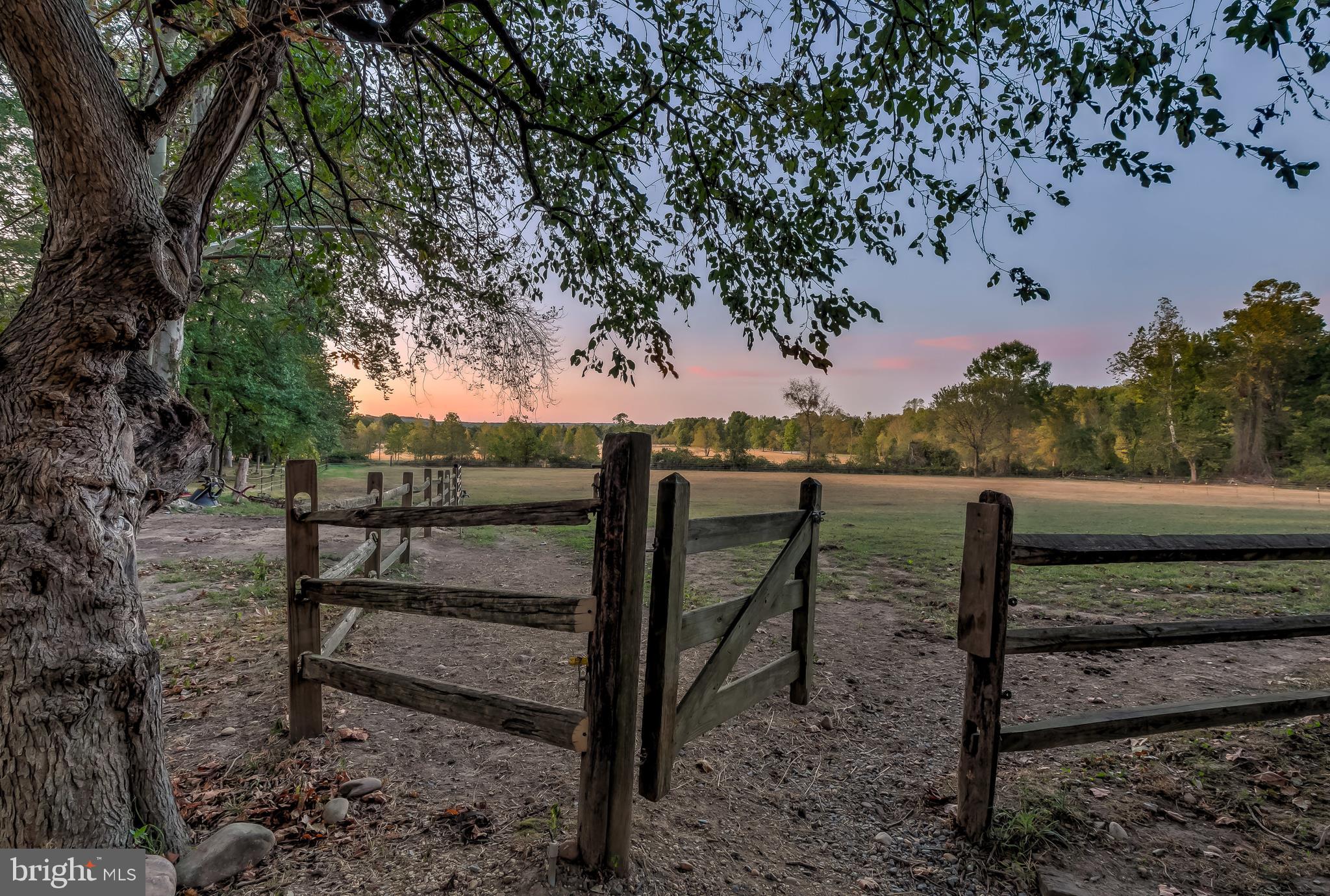 14505 Cactus Hill Road Accokeek, MD 20607 - Photo 13 of 83 Divine Horse Pastures