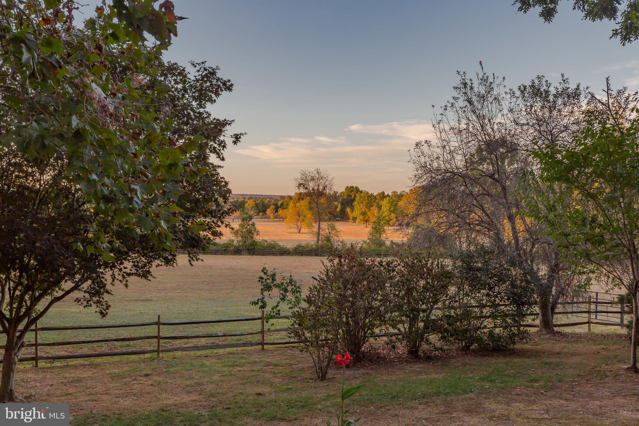 14505 Cactus Hill Road Accokeek, MD 20607 - Photo 17 of 83 Horse Fields