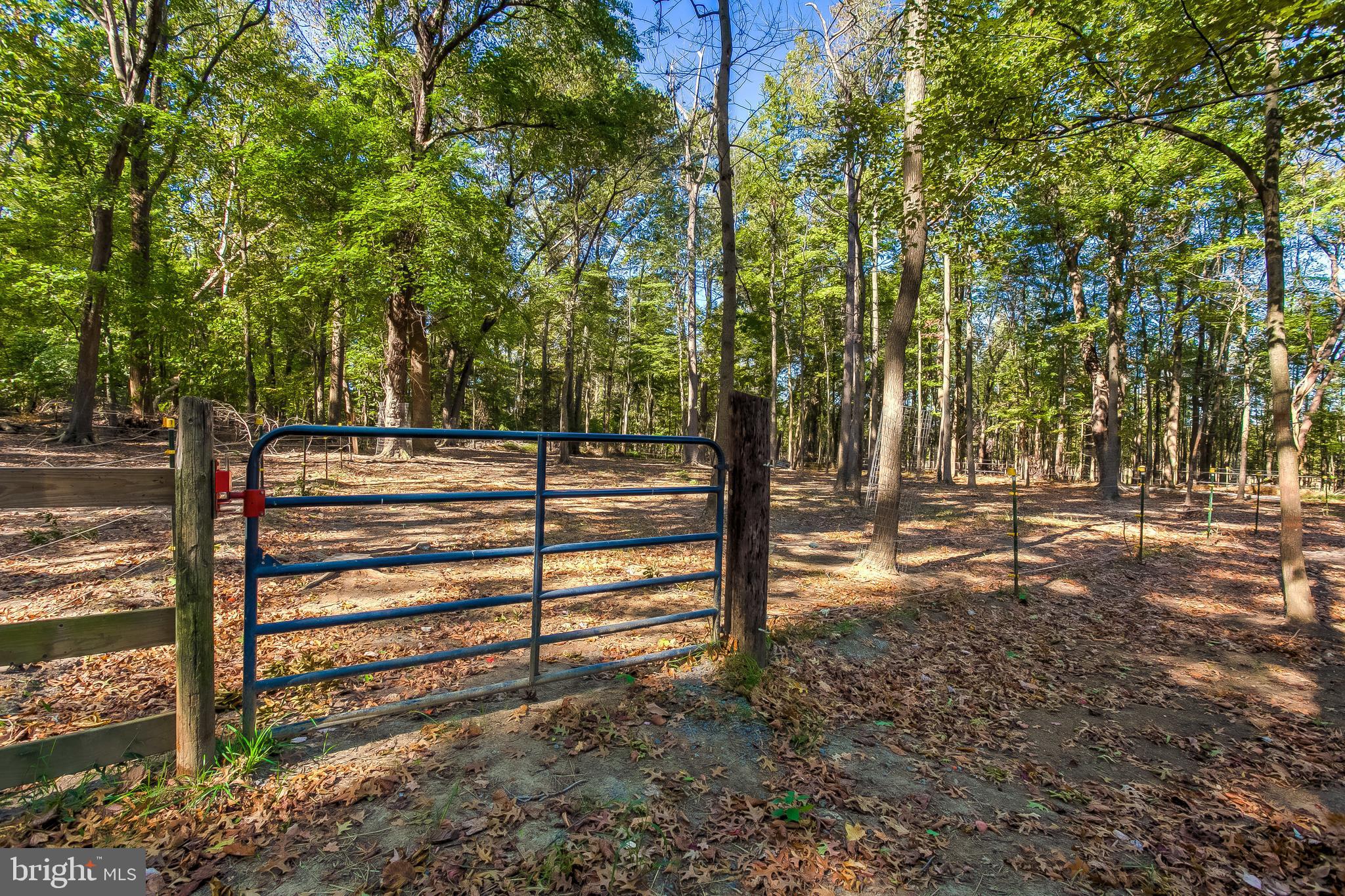14505 Cactus Hill Road Accokeek, MD 20607 - Photo 23 of 83 Horse Fields