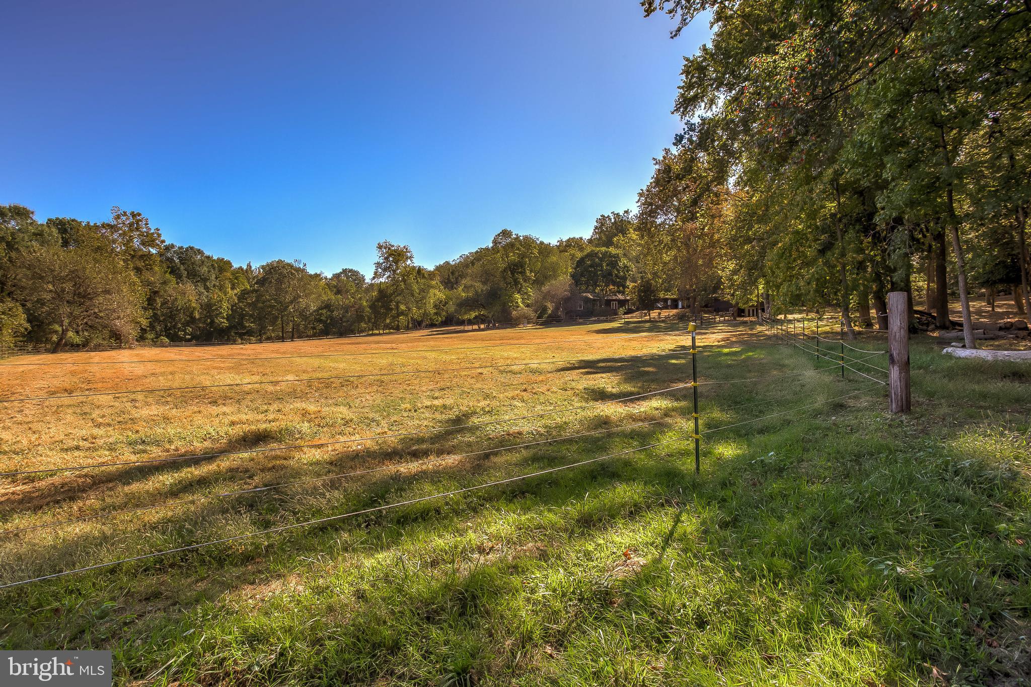 14505 Cactus Hill Road Accokeek, MD 20607 - Photo 24 of 83 Horse Fields