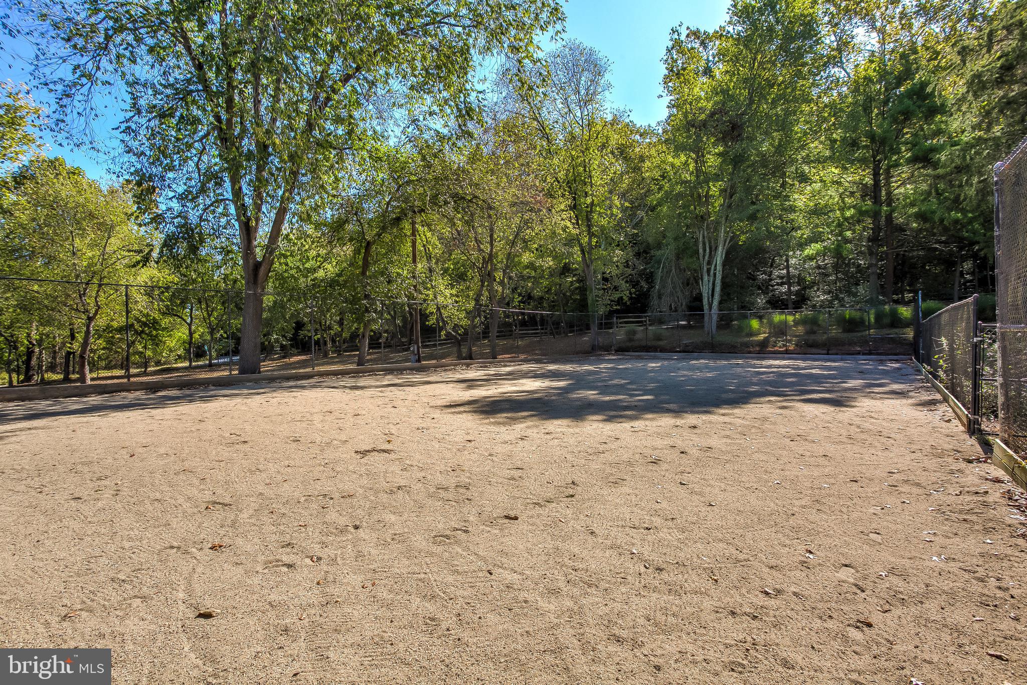 14505 Cactus Hill Road Accokeek, MD 20607 - Photo 26 of 83 Sand Footed Riding Arena