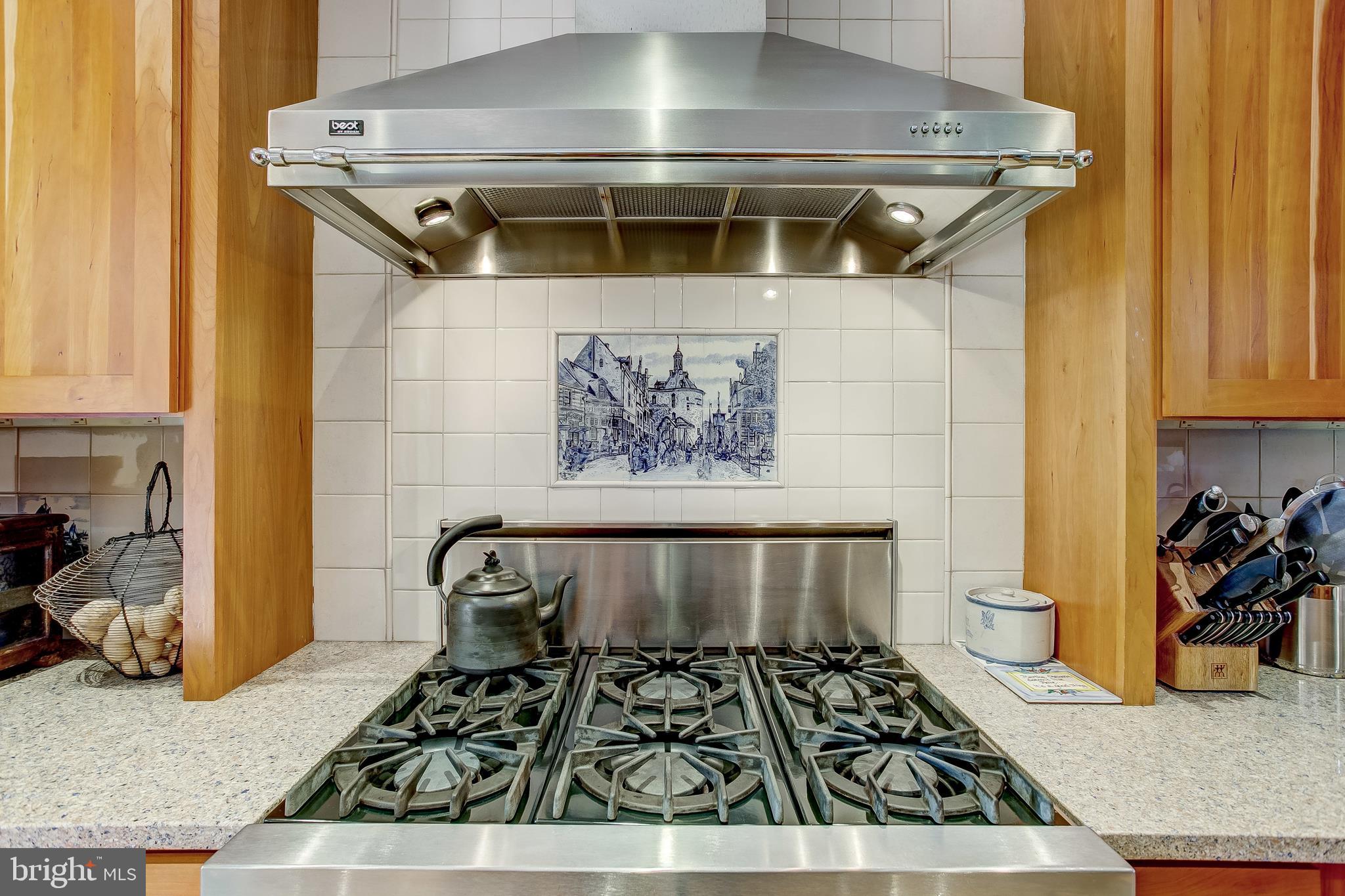 14505 Cactus Hill Road Accokeek, MD 20607 - Photo 32 of 83 6 Burner Gas Viking Stove