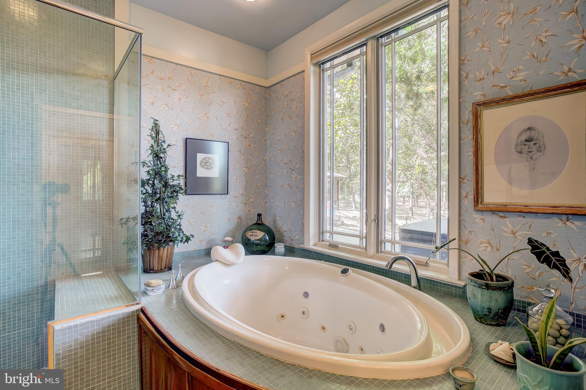 14505 Cactus Hill Road Accokeek, MD 20607 - Photo 60 of 83 Master Bathroom- Jetted Soaking Tub