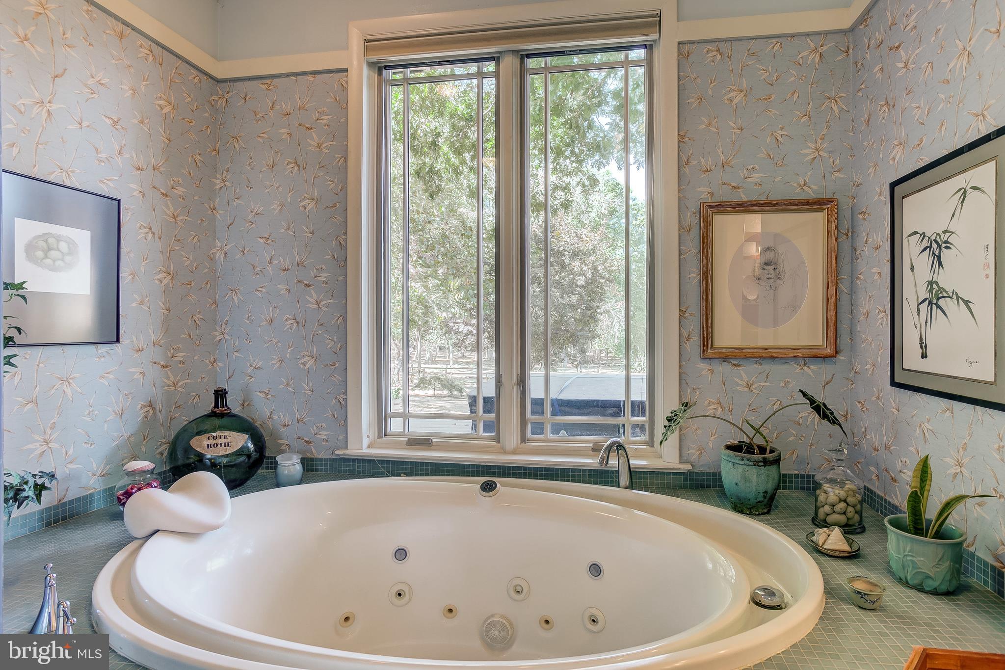 14505 Cactus Hill Road Accokeek, MD 20607 - Photo 61 of 83 Jetted Soaking Tub