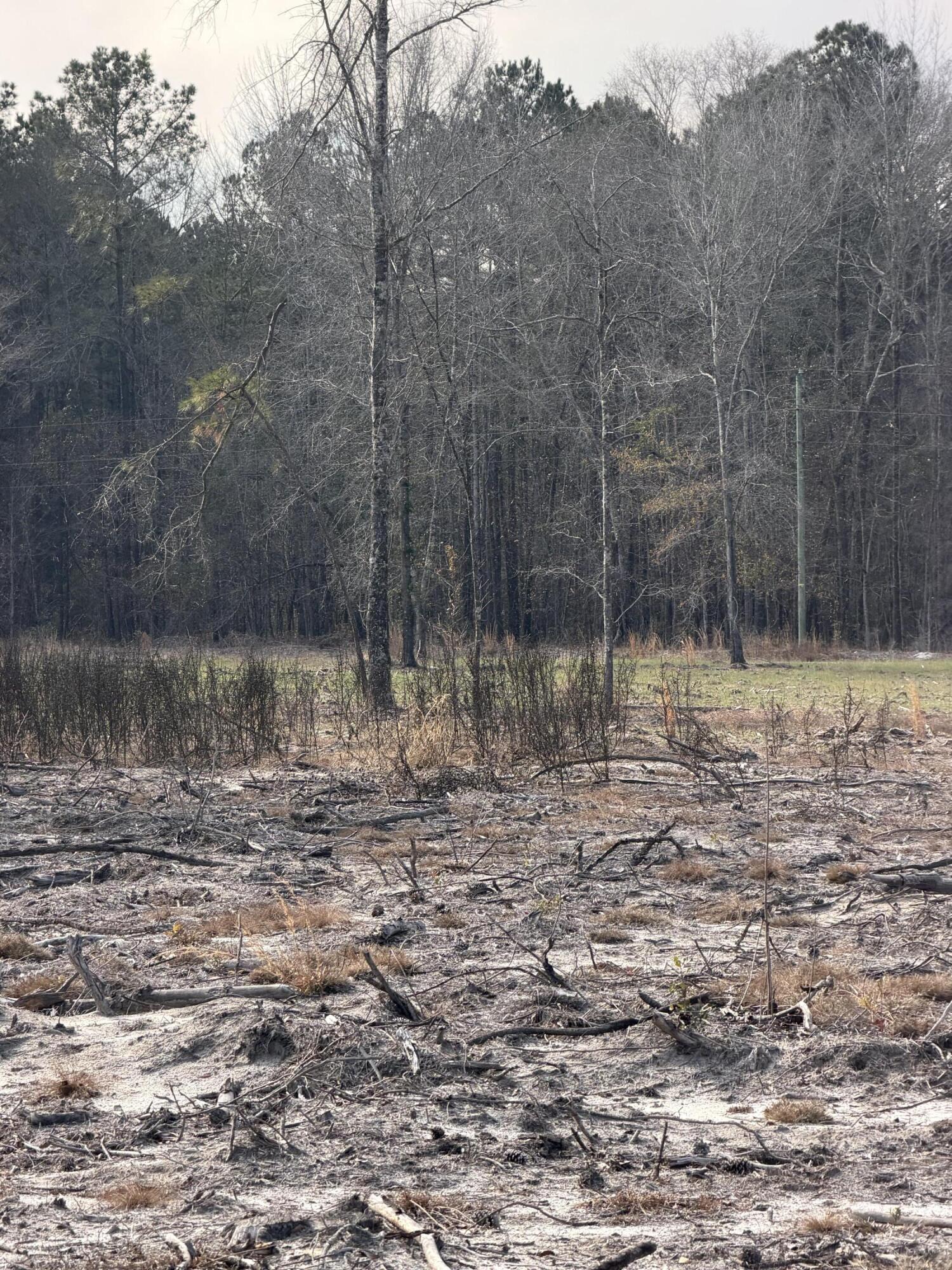 20.33 R And B Road Barnwell, SC 29812 - Photo 6 of 11