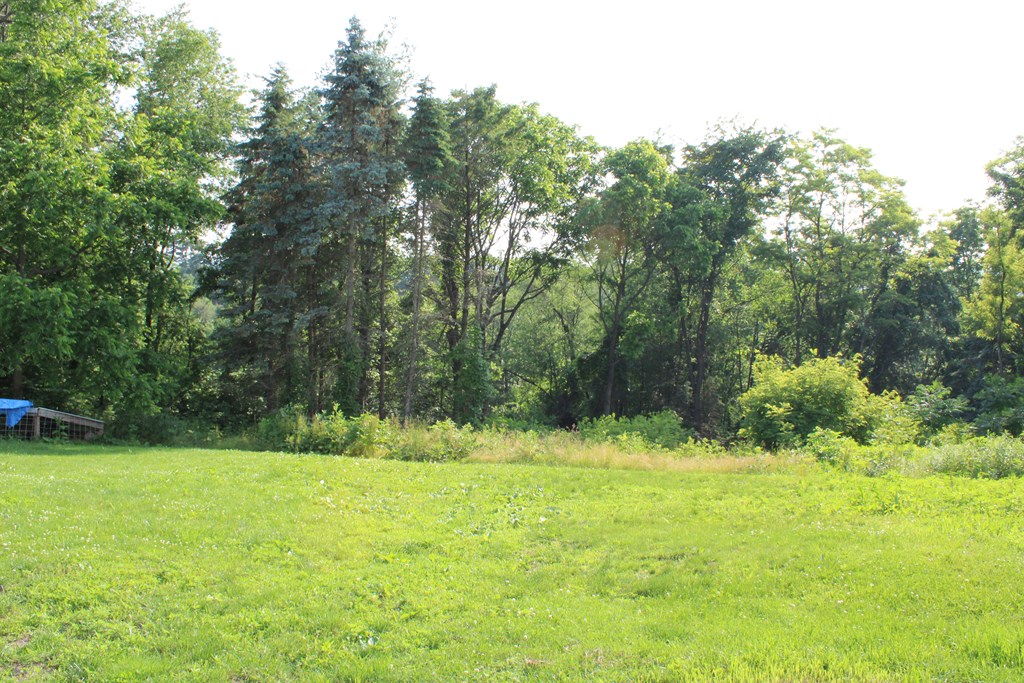 517 Dry Ridge Road Mayport, PA 16240 - Photo 4 of 30 a view of outdoor space with a garden and trees
