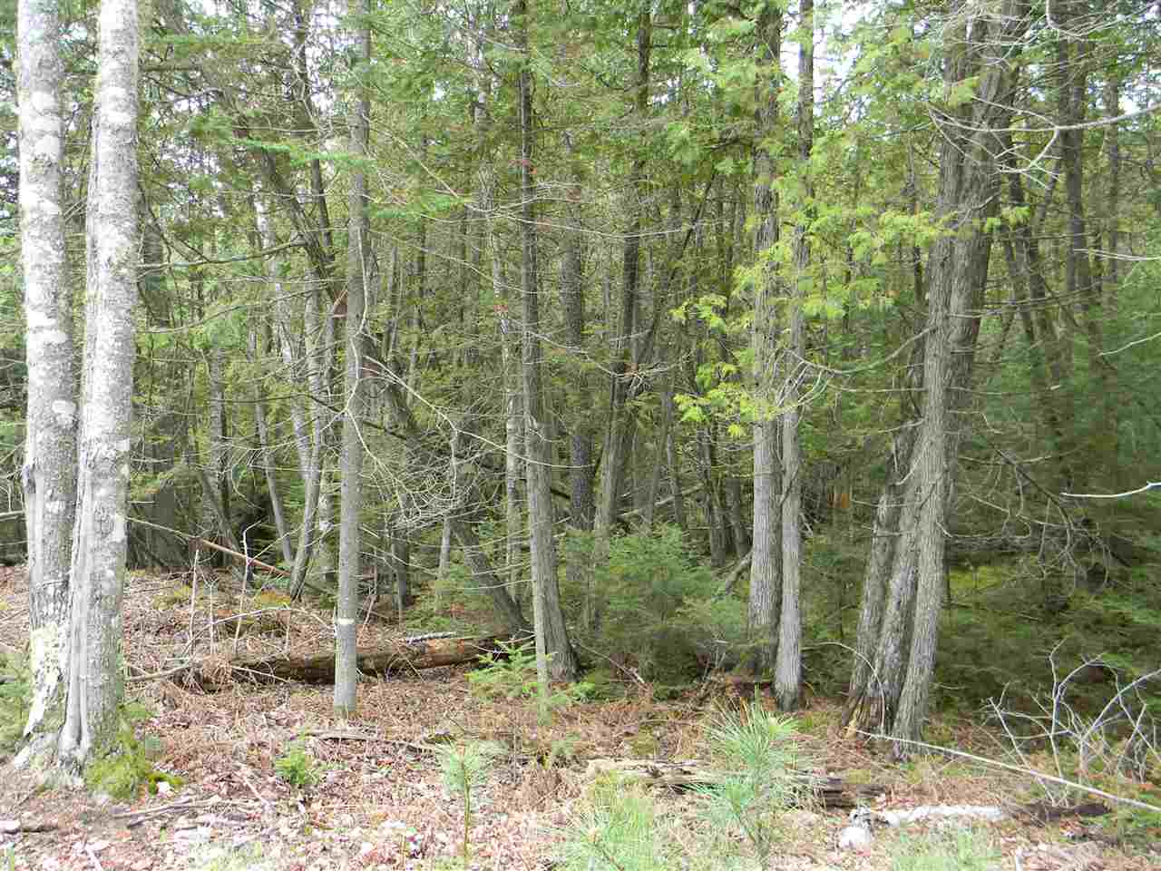 2659 East Heath Road Lupton, MI 48635 - Photo 47 of 57 1813206-46.JPG