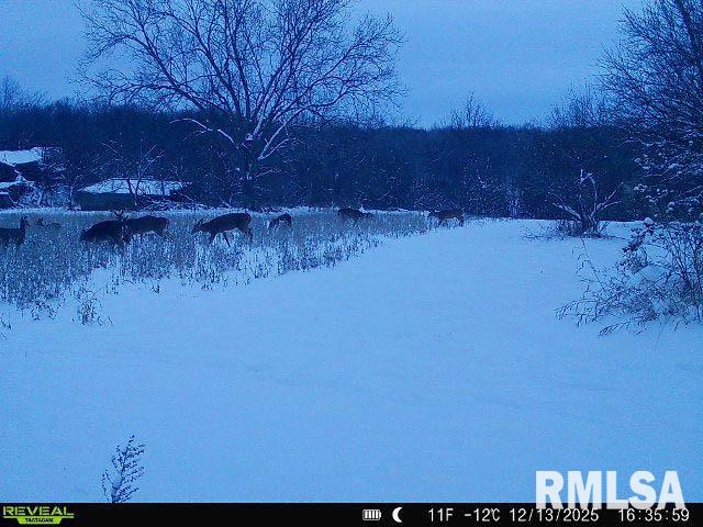 Rr Flower Creek Road Plymouth, IL 62367 - Photo 27 of 30