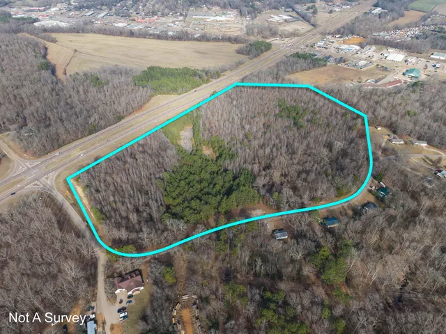 a picture of a park with large trees