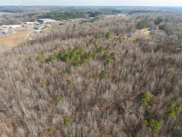 an aerial view of residential houses with outdoor space and trees