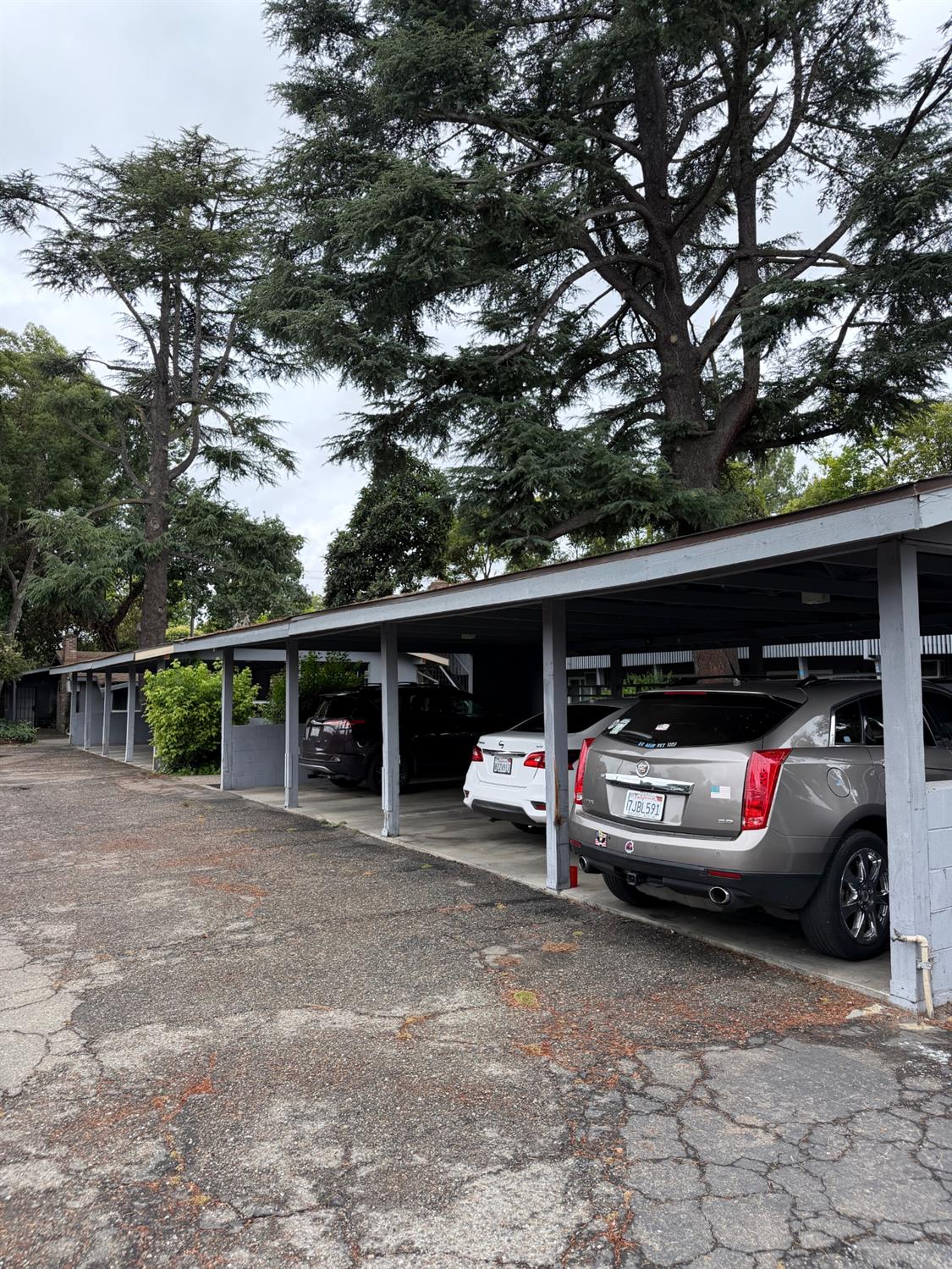 1707 West Swain Road, Unit 12 Stockton, CA 95207 - Photo 5 of 9