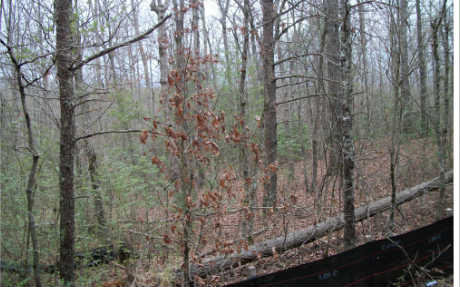 Stiles Road Epworth, GA 30541 - Photo 1 of 1 Main View