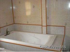 5673 Irwin Bridge Road Pleasant Plains, IL 62677 - Photo 15 of 23 Gallery Image 15