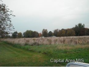 5673 Irwin Bridge Road Pleasant Plains, IL 62677 - Photo 22 of 23 Gallery Image 22