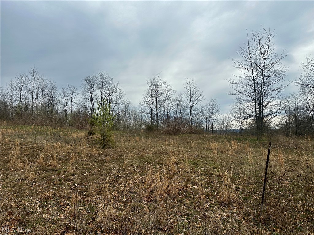 35840 Swan Road Long Bottom, OH 45743 - Photo 14 of 23