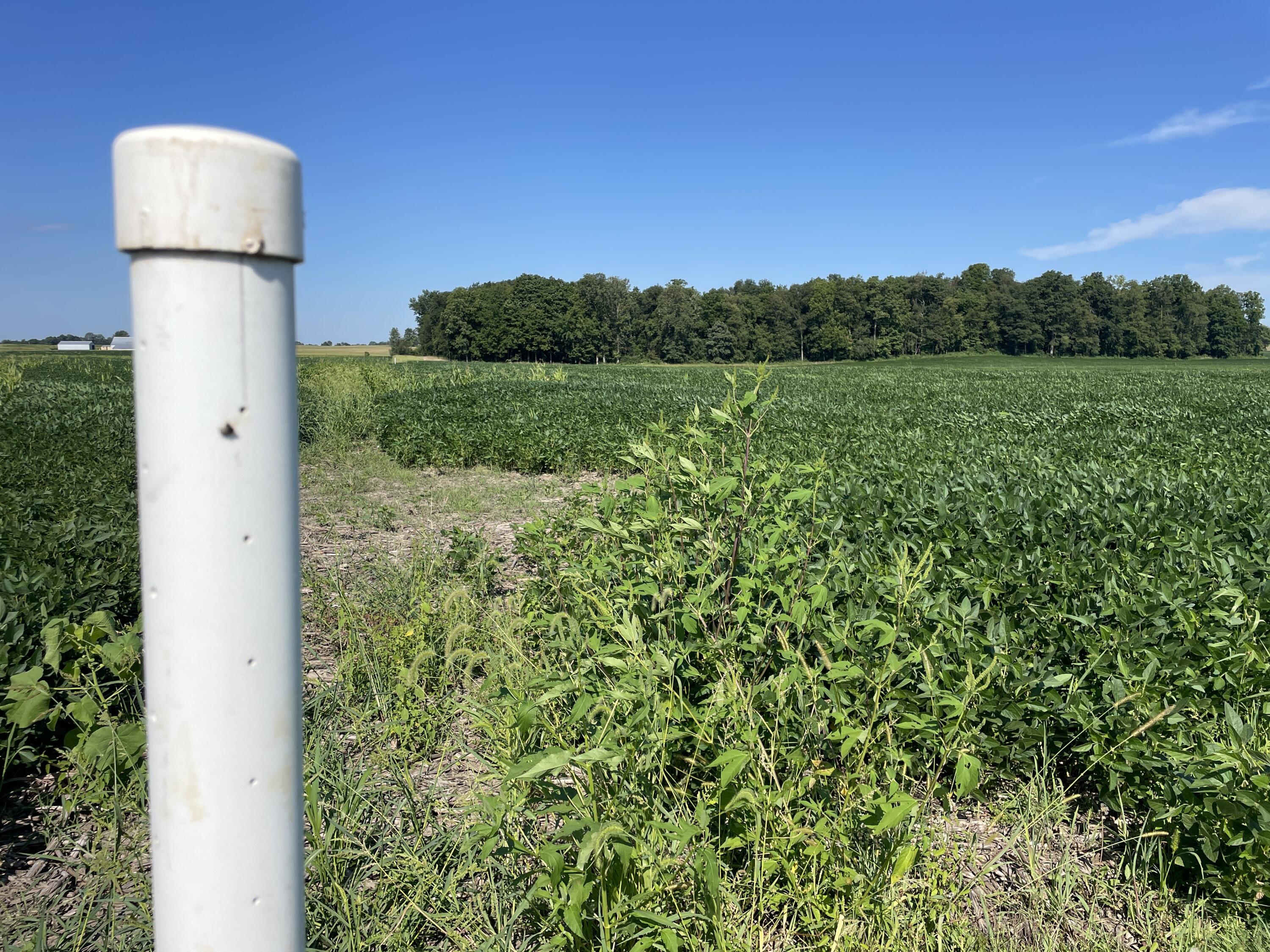 0 Perry Road Cable, OH 43009 - Photo 18 of 28