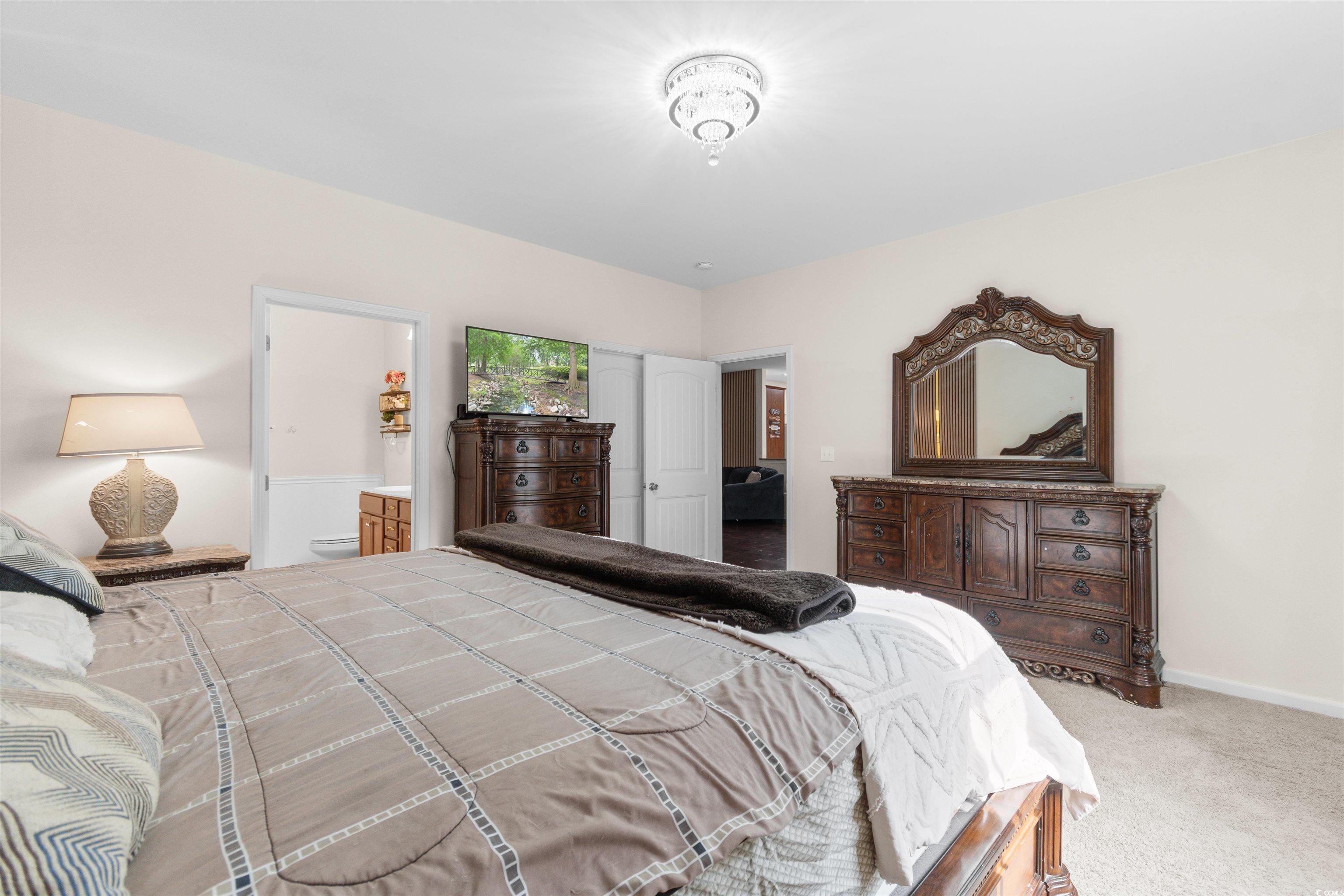 340 Barony Drive Conway, SC 29526 - Photo 20 of 40