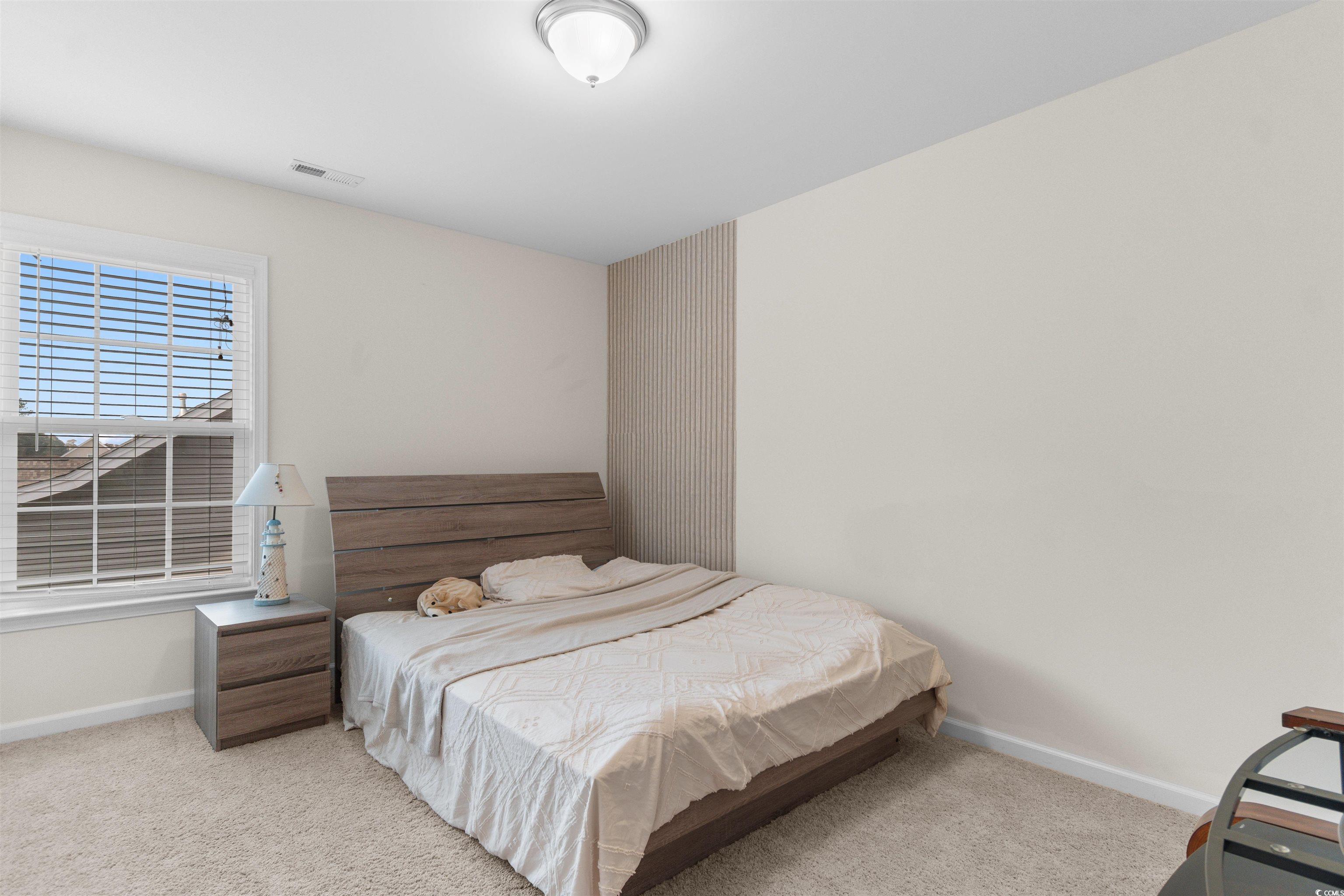 340 Barony Drive Conway, SC 29526 - Photo 29 of 40