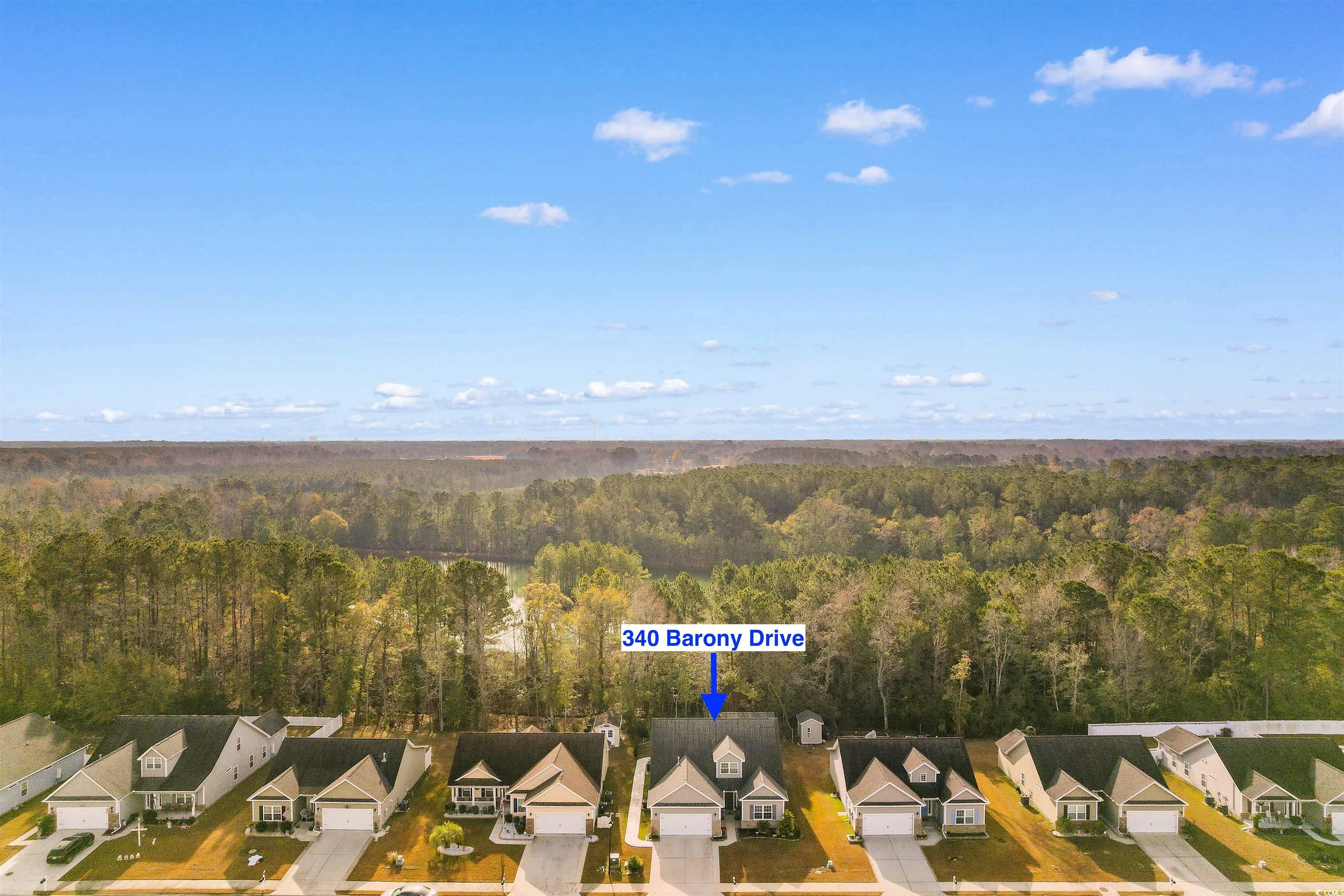 340 Barony Drive Conway, SC 29526 - Photo 36 of 40