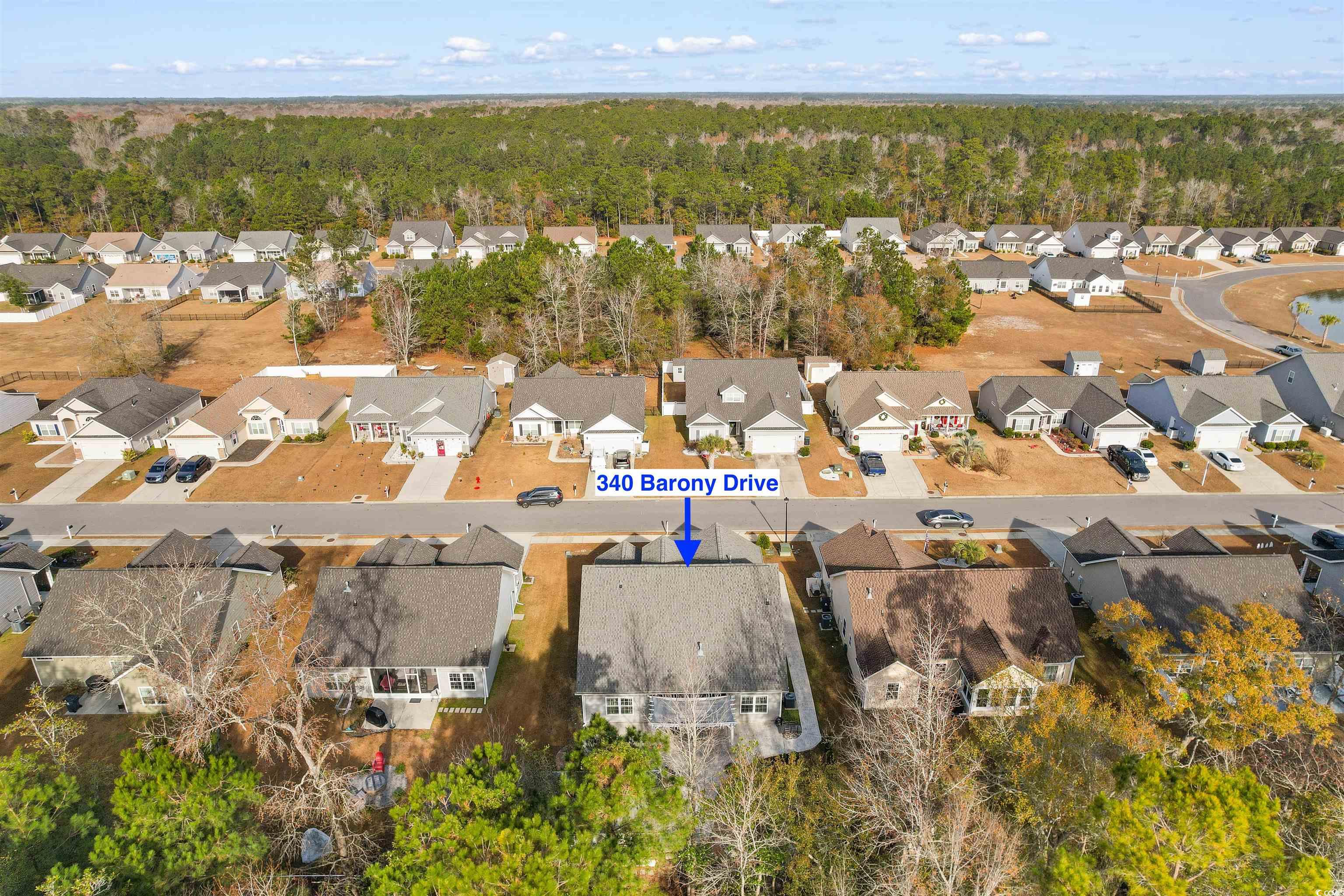 340 Barony Drive Conway, SC 29526 - Photo 37 of 40