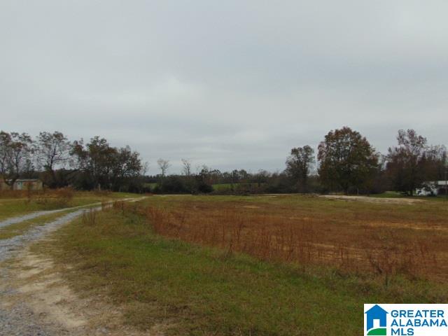 805 County Road 342, Unit 1 Maplesville, AL 36750 - Photo 3 of 7
