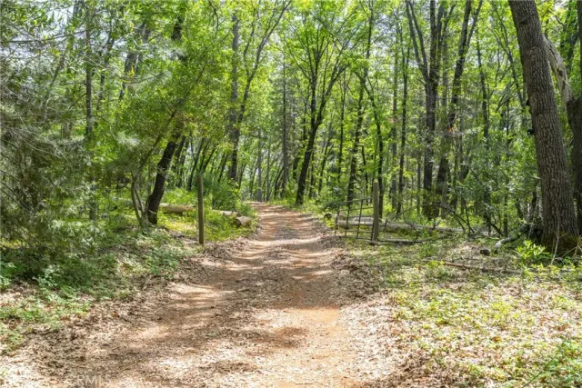 a view of outdoor space with trees