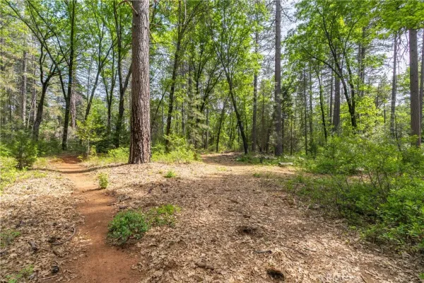 $70,000 | 0 Scotty Ln. Lane, Magalia, CA 95954