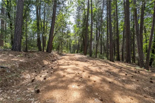 a view of outdoor space with trees