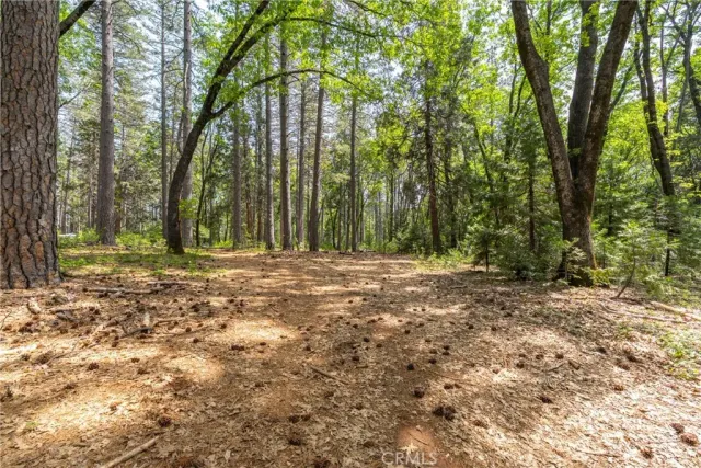 a view of outdoor space and trees