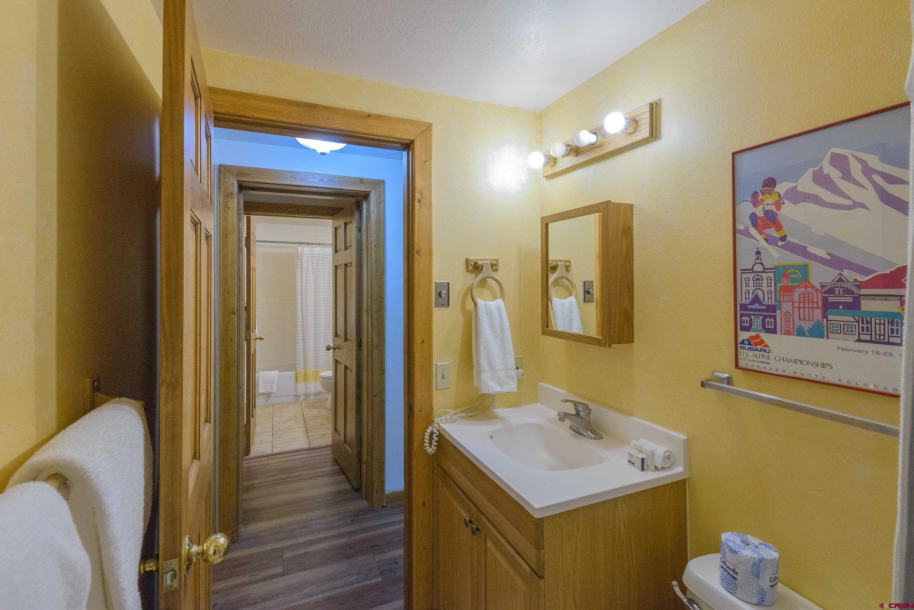 701 Gothic Road, Unit 332 Crested Butte, CO 81225 - Photo 8 of 29 a bathroom with a sink and mirror with toilet