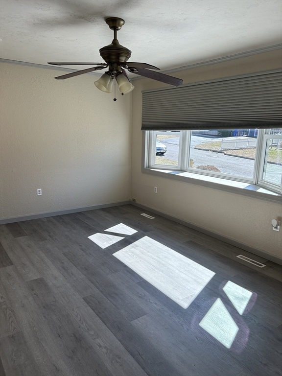 32 Ruby Road Springfield, MA 01108 - Photo 3 of 13 Gallery Image 3