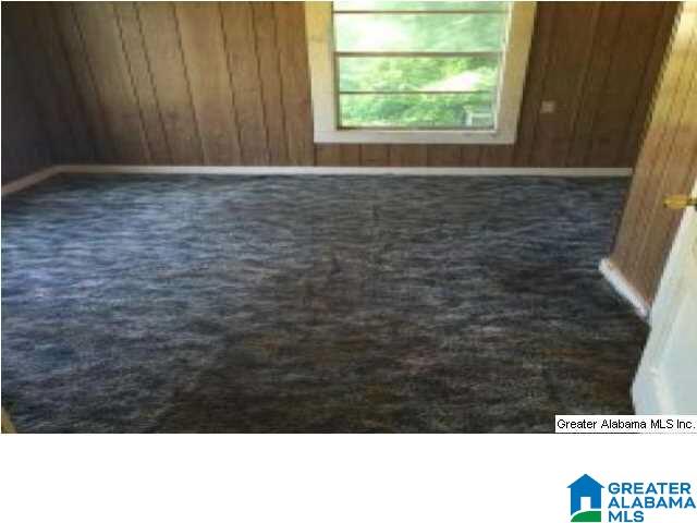15764 Hamlet Mill Road Daviston, AL 36256 - Photo 10 of 15 Gallery Image 10