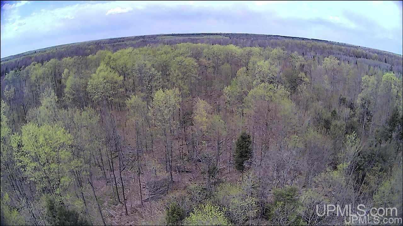 Tbd Tbd Truax Road, Unit 1 Cornell, MI 49818 - Photo 9 of 43