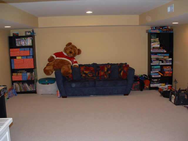 4103 Asbury Ridge Drive Columbus, OH 43230 - Photo 9 of 9