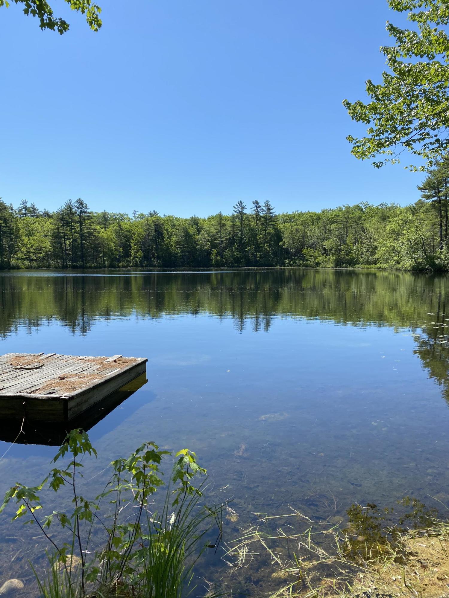 91 Moose Pond Road Acton, ME 04001 - Photo 5 of 49 5- Boudreau Pond