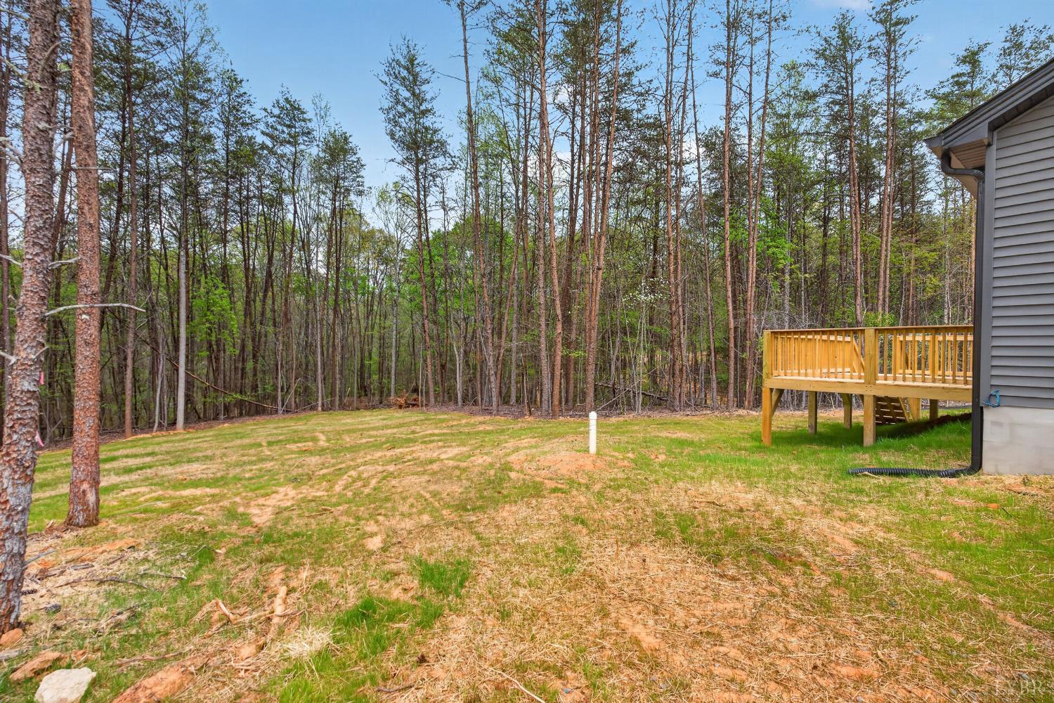162 Dillon Cabin Road Moneta, VA 24121 - Photo 44 of 56 a swimming pool with trees in the background