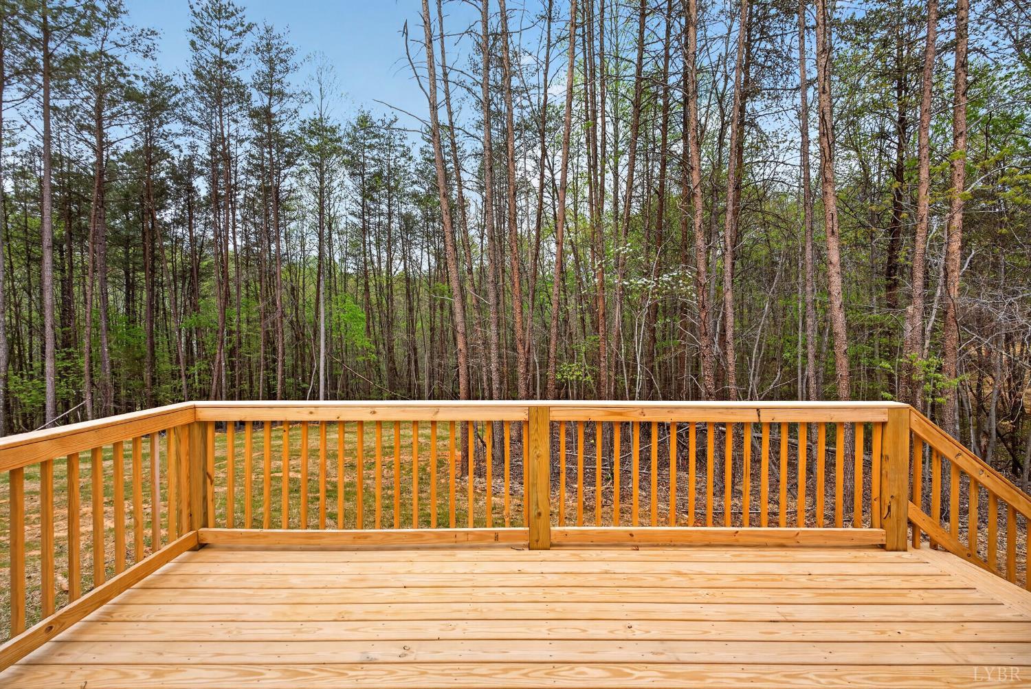 162 Dillon Cabin Road Moneta, VA 24121 - Photo 50 of 56 a view of deck
