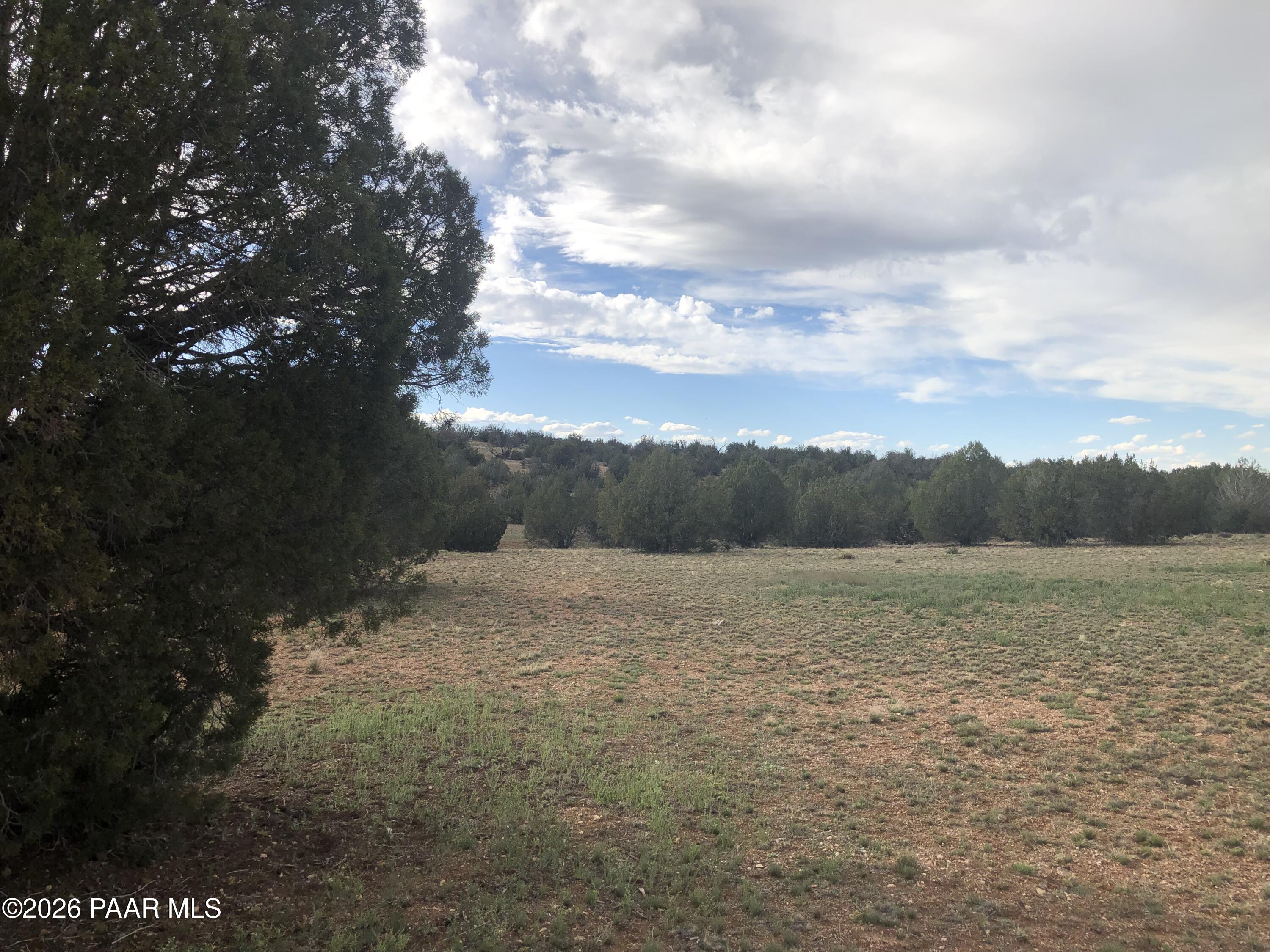 302-17-306 Haywire Road Ash Fork, AZ 86320 - Photo 12 of 21 a view of outdoor space with mountain view