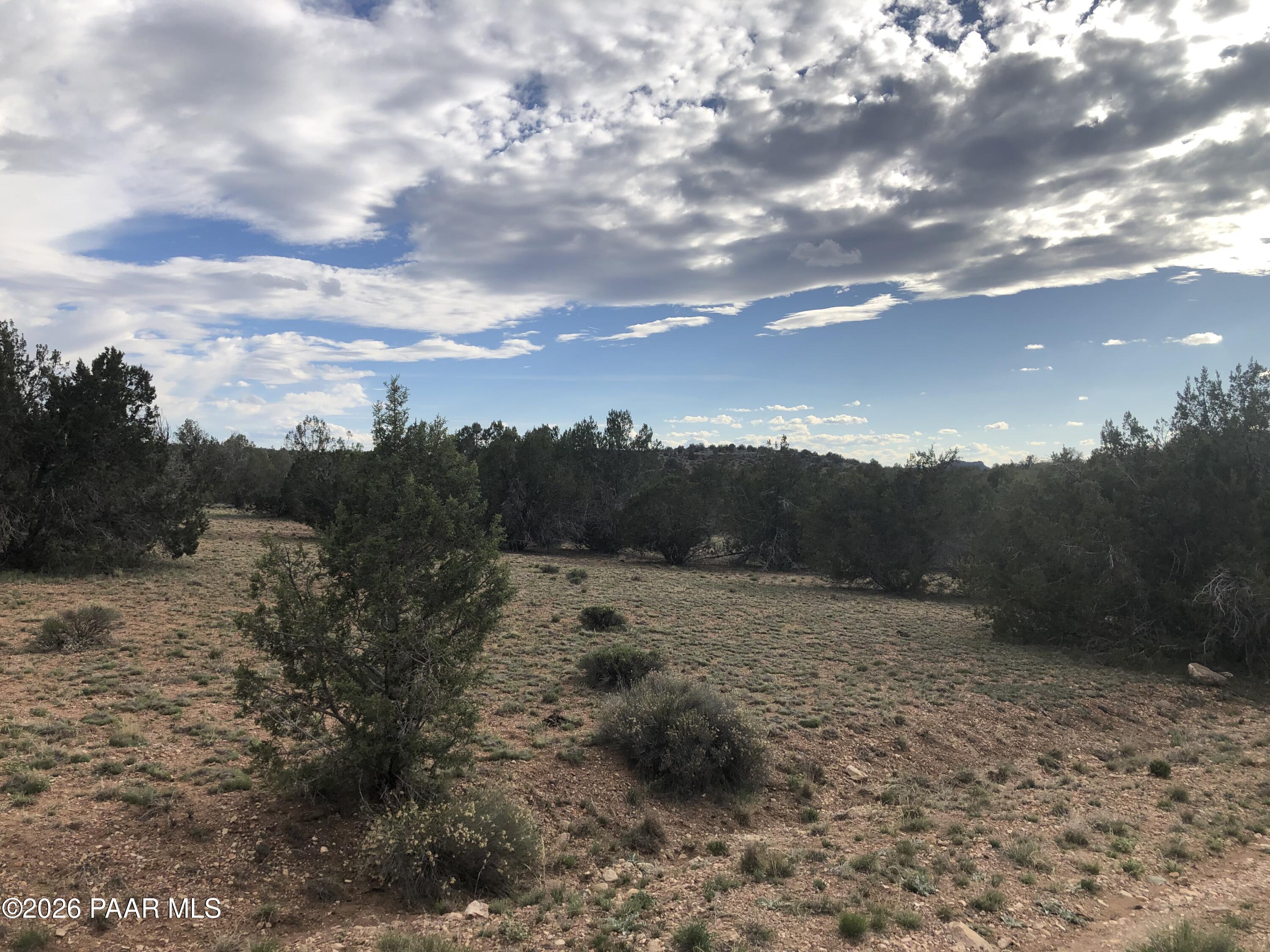 302-17-306 Haywire Road Ash Fork, AZ 86320 - Photo 13 of 21 IMG_3827