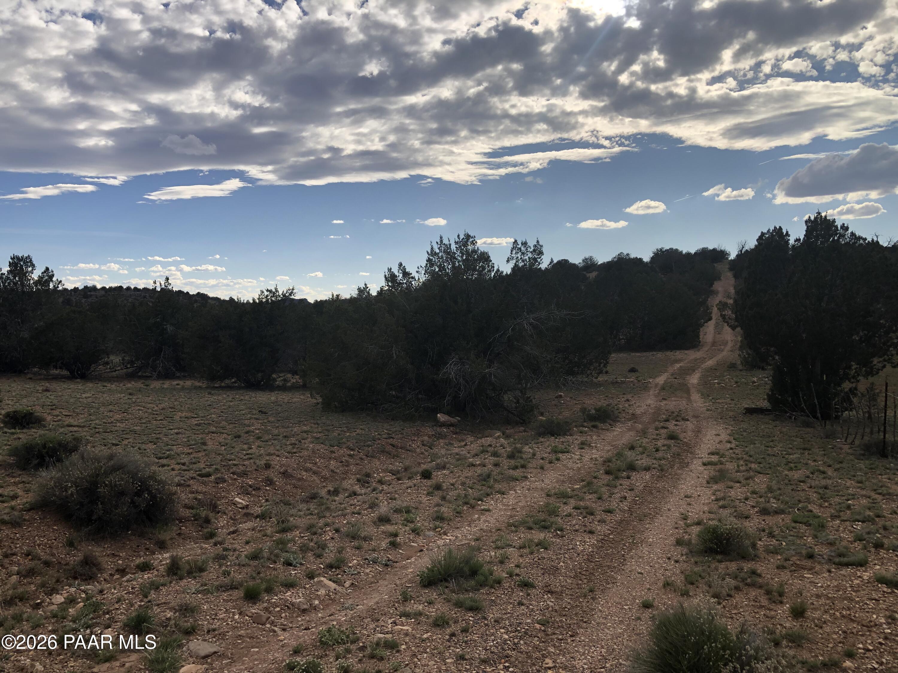 302-17-306 Haywire Road Ash Fork, AZ 86320 - Photo 14 of 21 a view of a yard with wooden fence