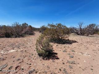 302-17-306 Haywire Road Ash Fork, AZ 86320 - Photo 16 of 21 a view of a dry yard with a tree