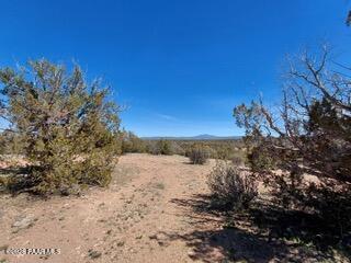 302-17-306 Haywire Road Ash Fork, AZ 86320 - Photo 17 of 21 a view of mountain view with lots of trees