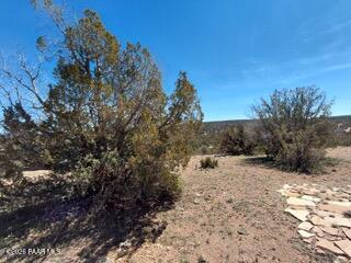 302-17-306 Haywire Road Ash Fork, AZ 86320 - Photo 18 of 21 a view of a dry yard covered with snow in the background