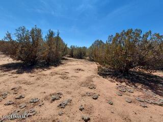 302-17-306 Haywire Road Ash Fork, AZ 86320 - Photo 20 of 21 a view of a yard covered with snow in the background