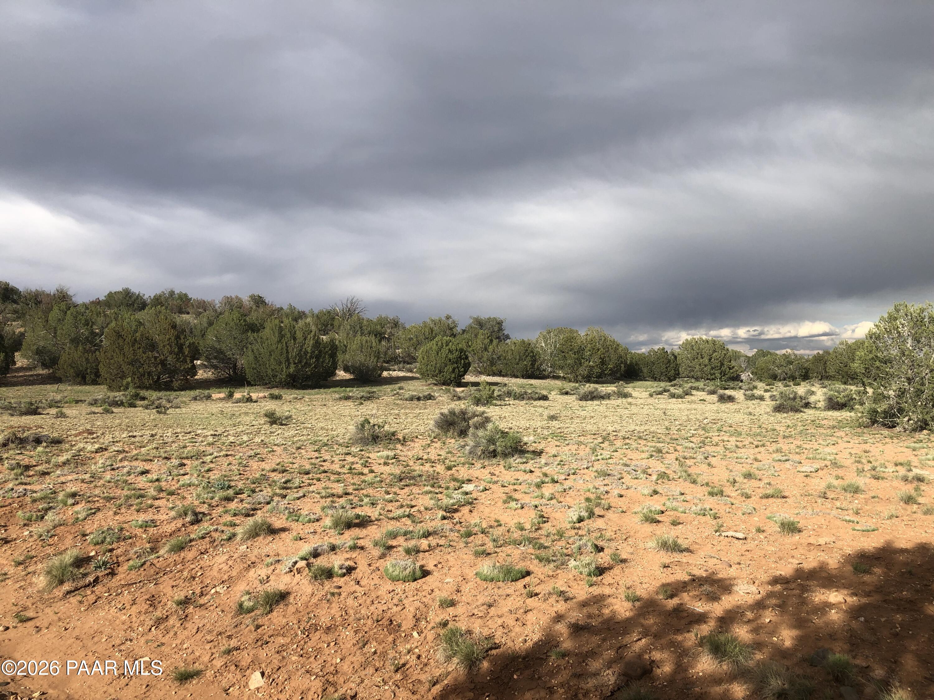 302-17-306 Haywire Road Ash Fork, AZ 86320 - Photo 4 of 21 IMG_3825