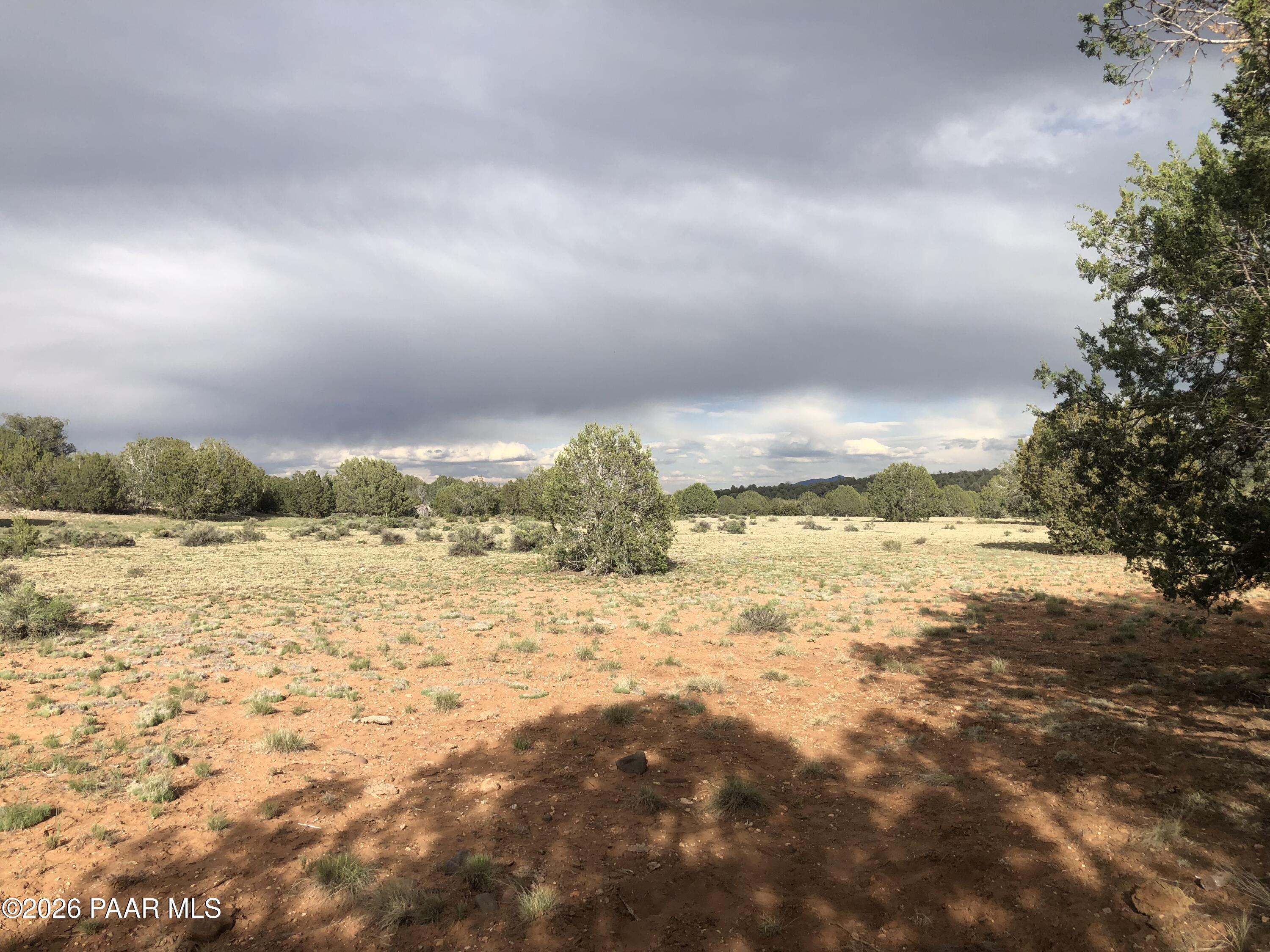 302-17-306 Haywire Road Ash Fork, AZ 86320 - Photo 5 of 21 IMG_3824