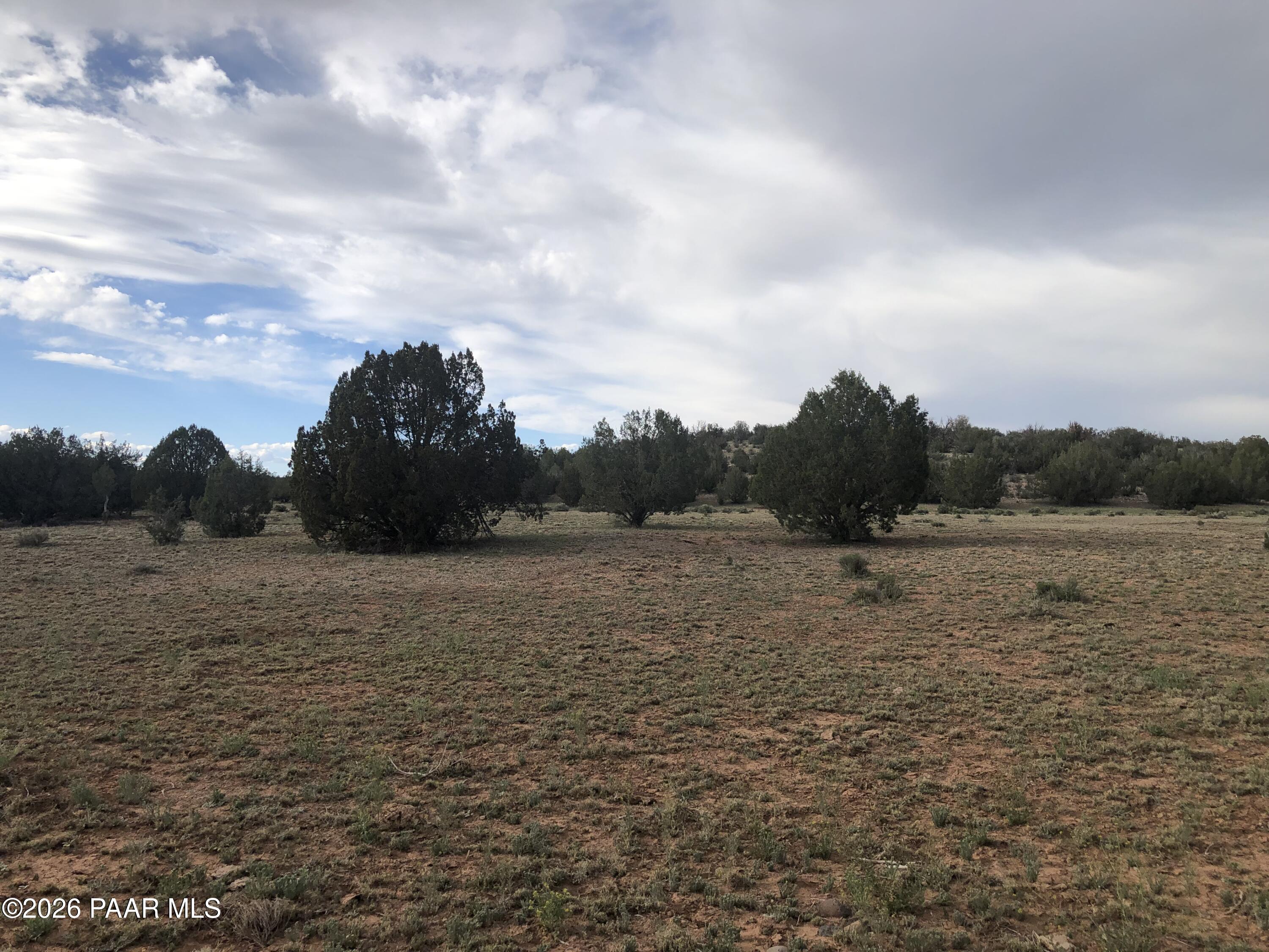 302-17-306 Haywire Road Ash Fork, AZ 86320 - Photo 7 of 21 a view of lake and mountain view