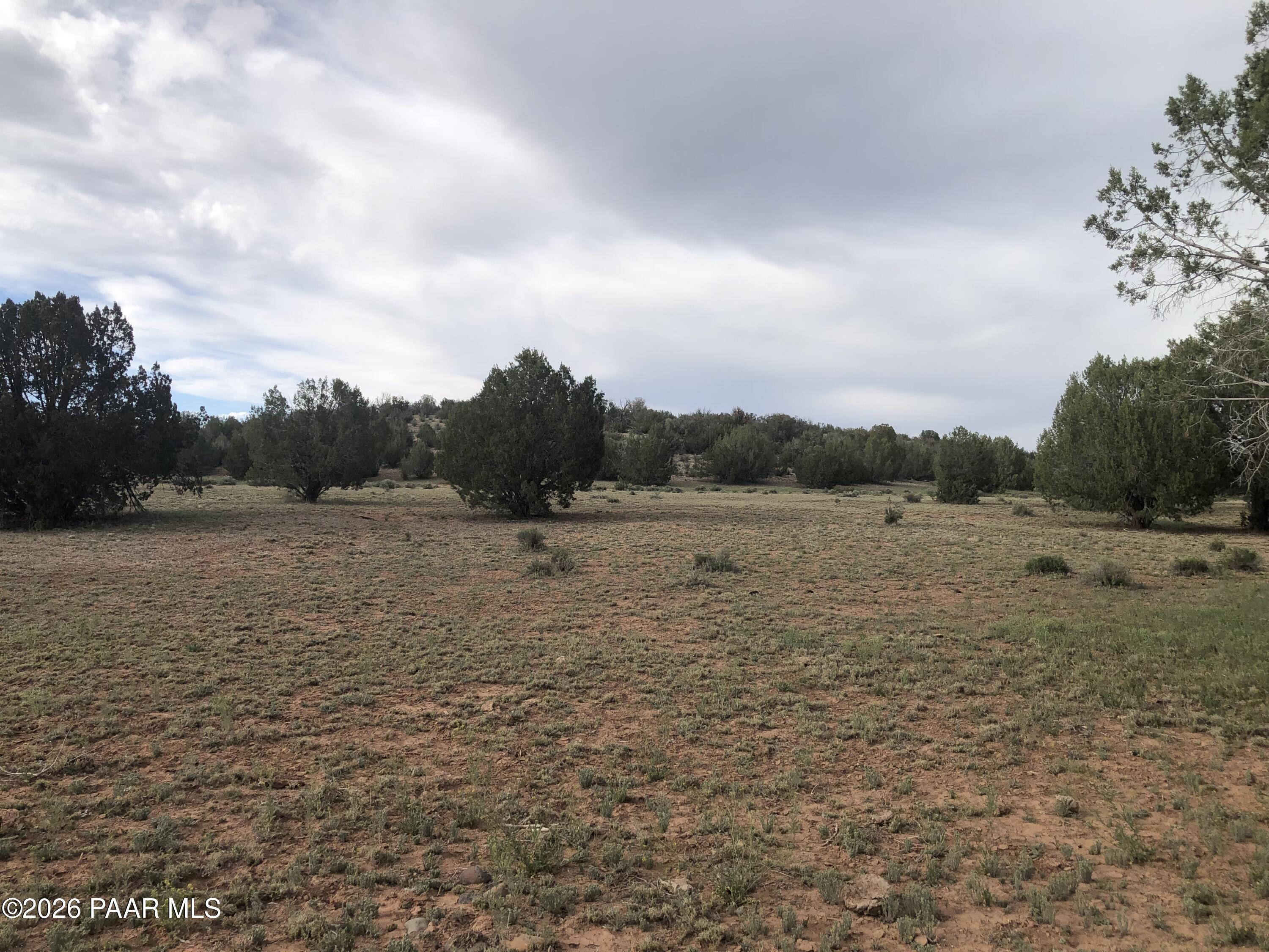 302-17-306 Haywire Road Ash Fork, AZ 86320 - Photo 8 of 21 a view of a lake view