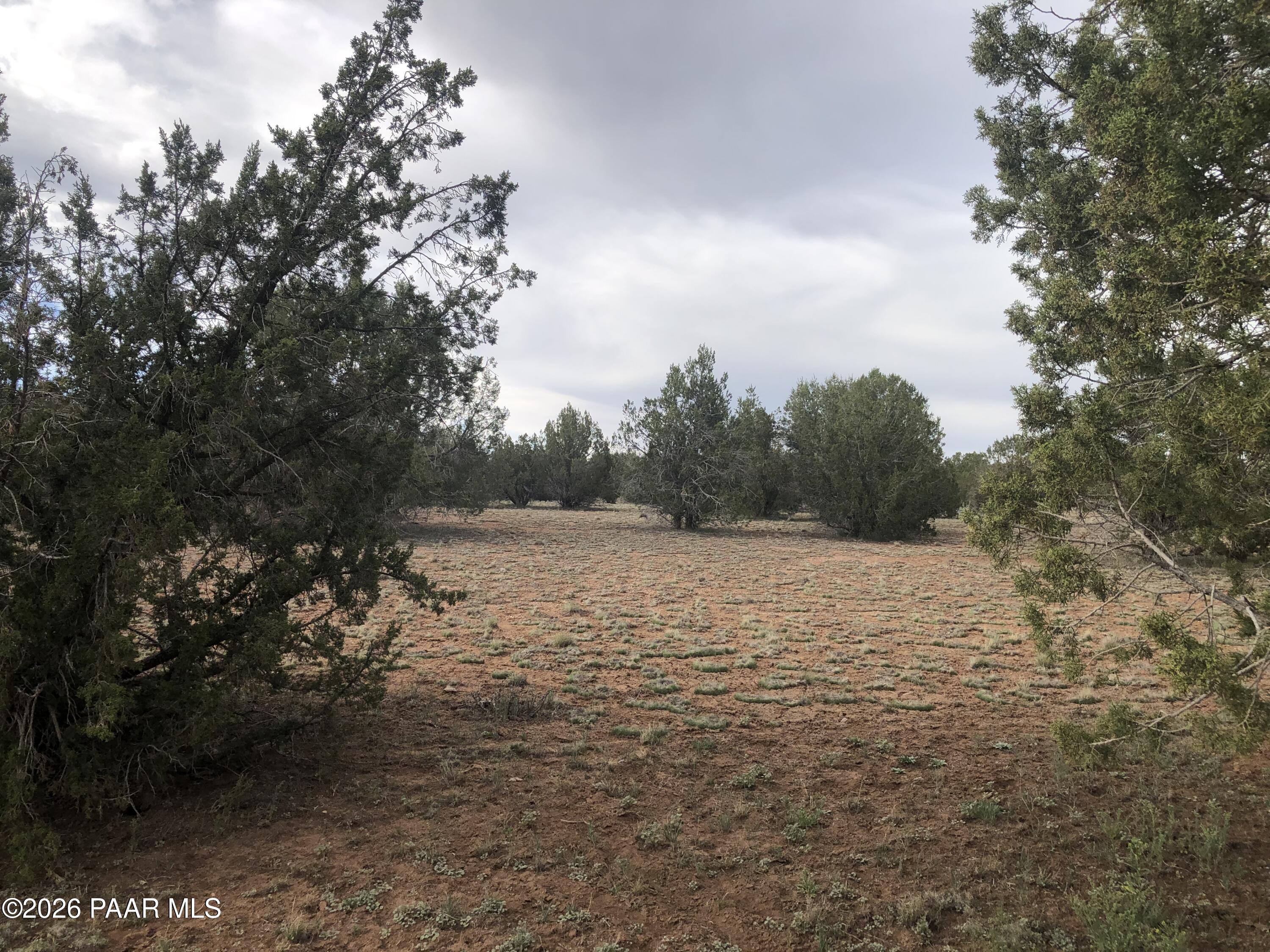 302-17-306 Haywire Road Ash Fork, AZ 86320 - Photo 9 of 21 a view of lake view
