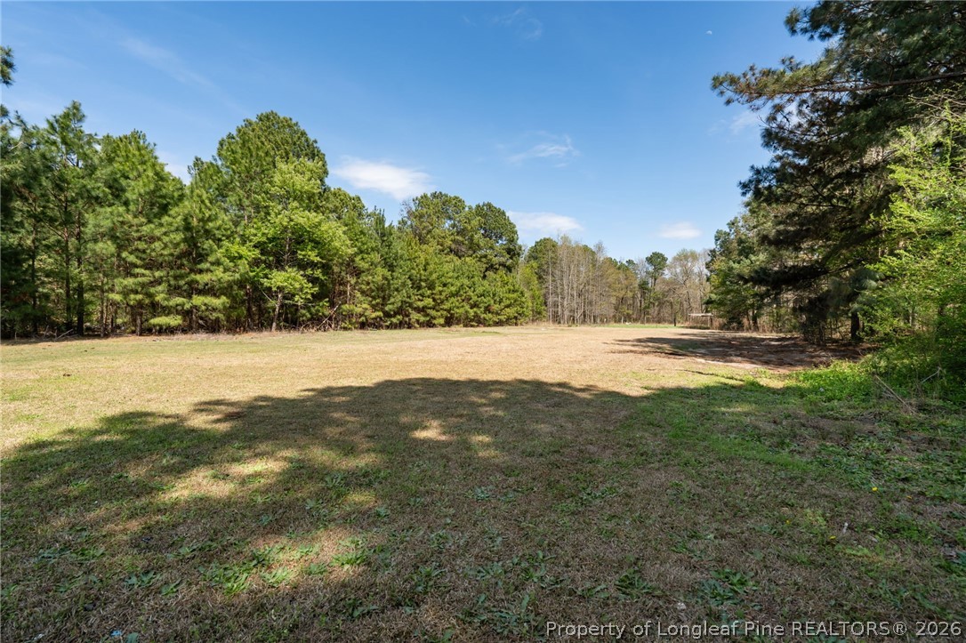 515 Mt Zion Road Red Springs, NC 28377 - Photo 39 of 50 a view of mountain view with beach